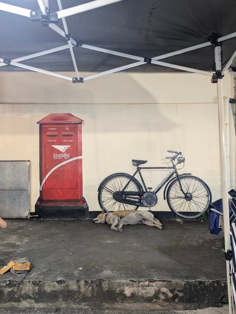 Animals are much better than us in living in the moment