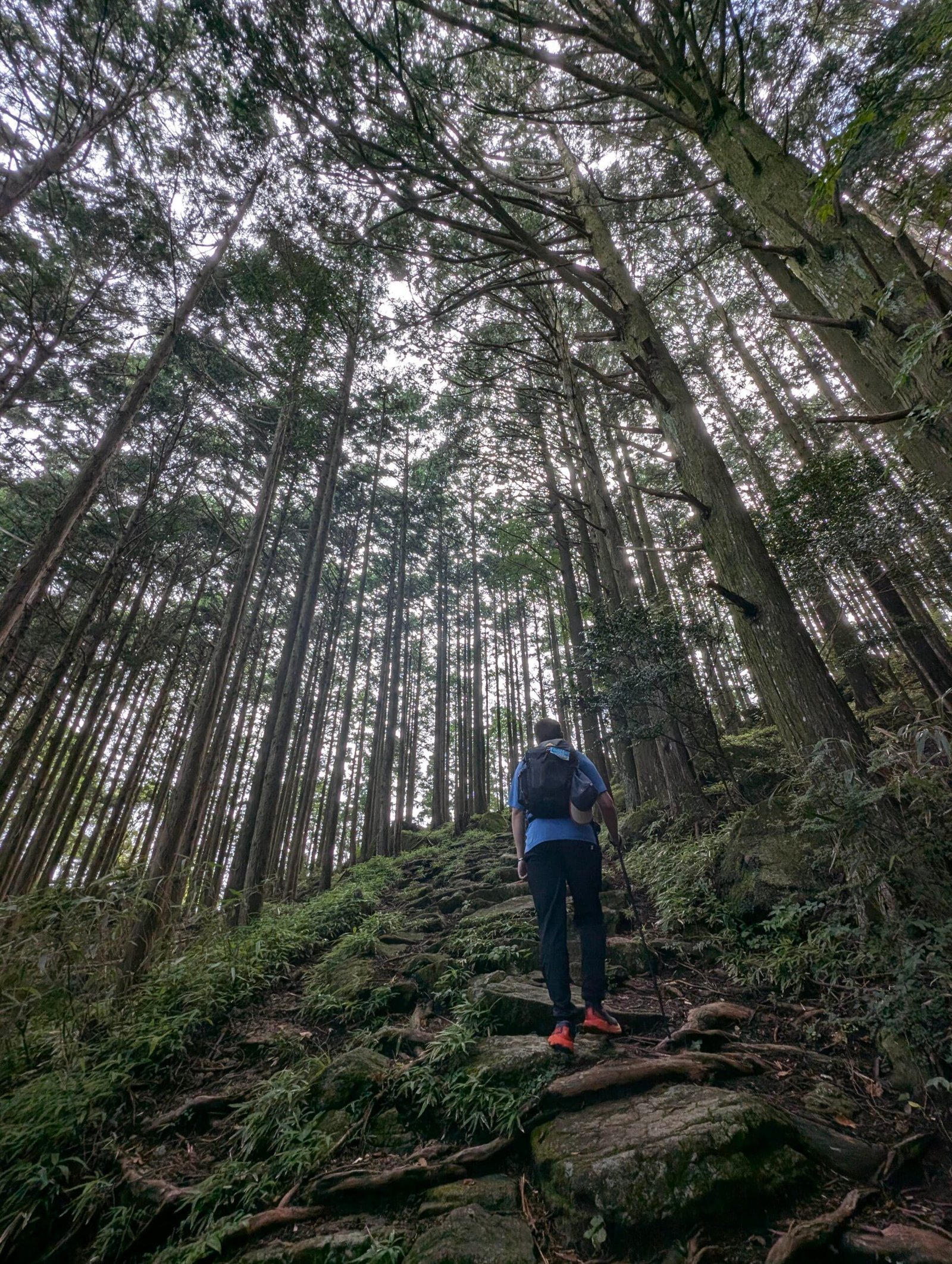 Us hiking the Kumano Kodo